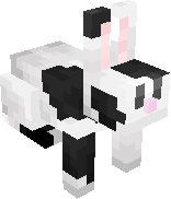 White Splotched Rabbit
